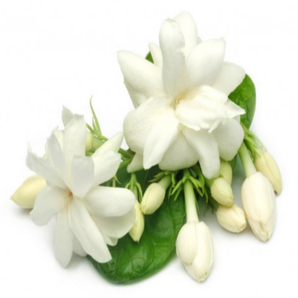 Exfoliating Nourishing Anti-Aging Body Scrub - Jasmine Fragrance-4
