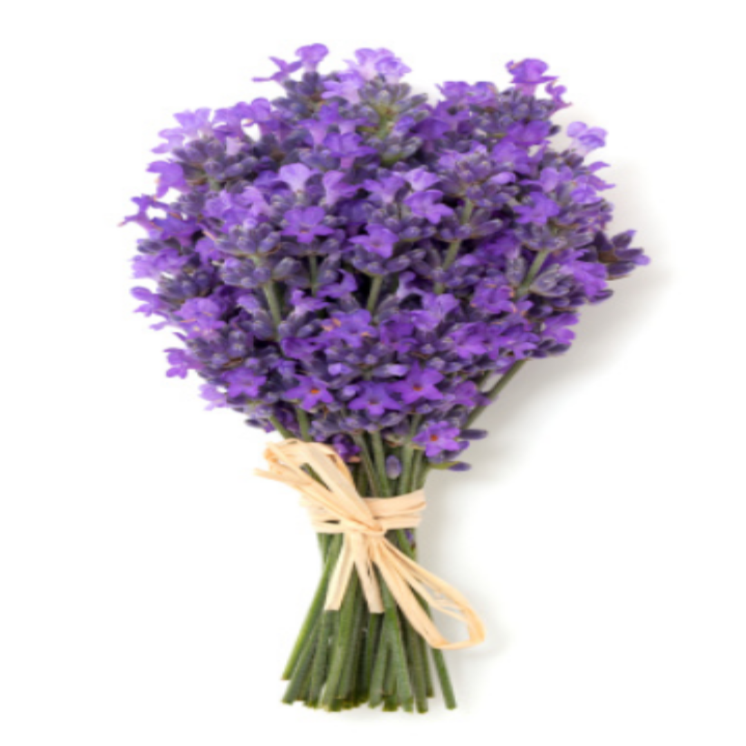 Exfoliating Organic Anti-Aging Body Scrub - Lavender Fragrance-3